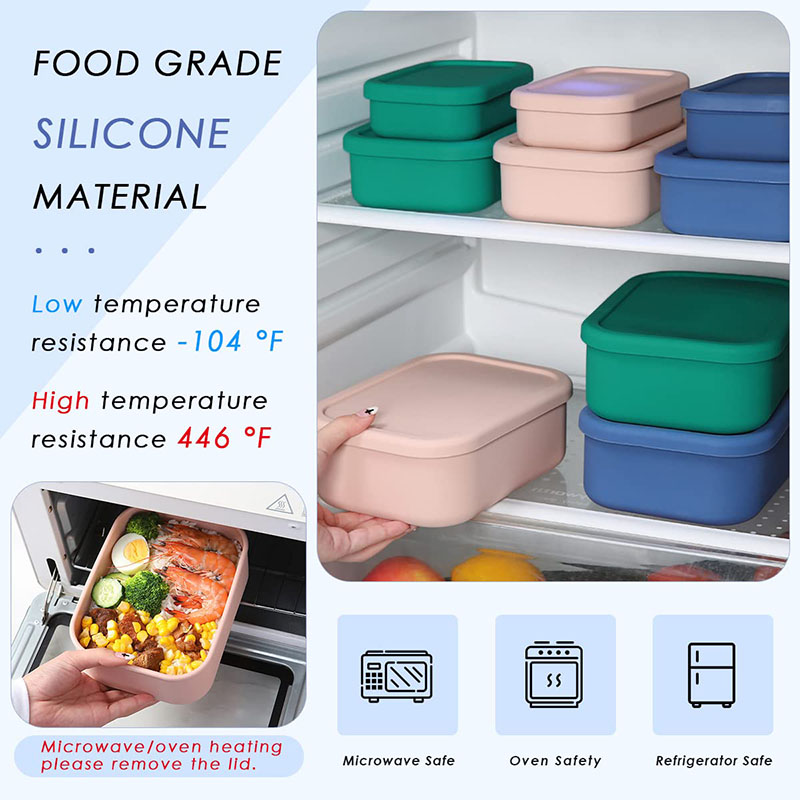 Leak-Resistant Bento Lunch Box - огляд і ціна Meal Prep Box